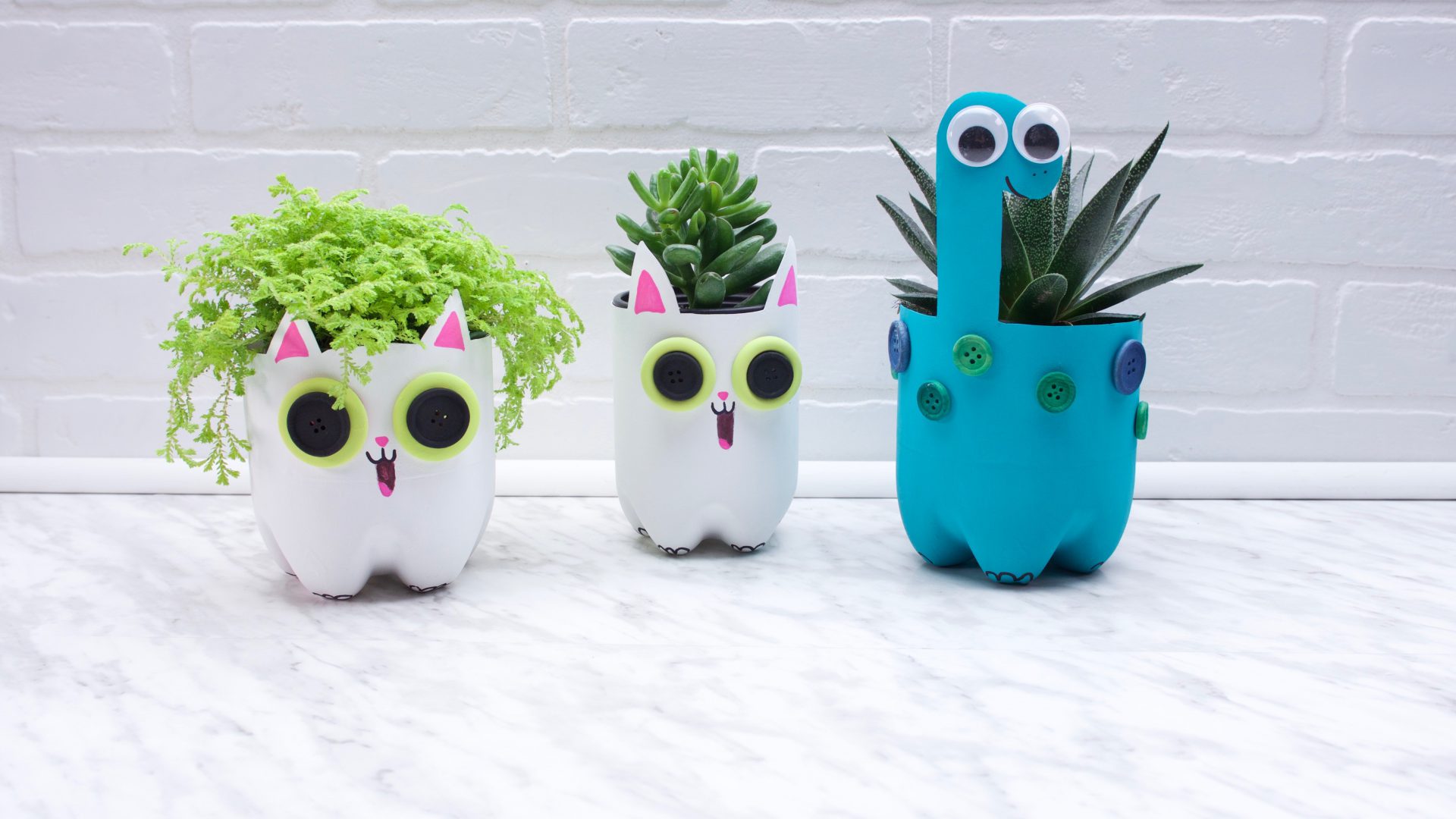Planters made from plastic bottles