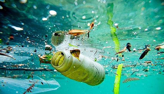 Microplastics in the ocean