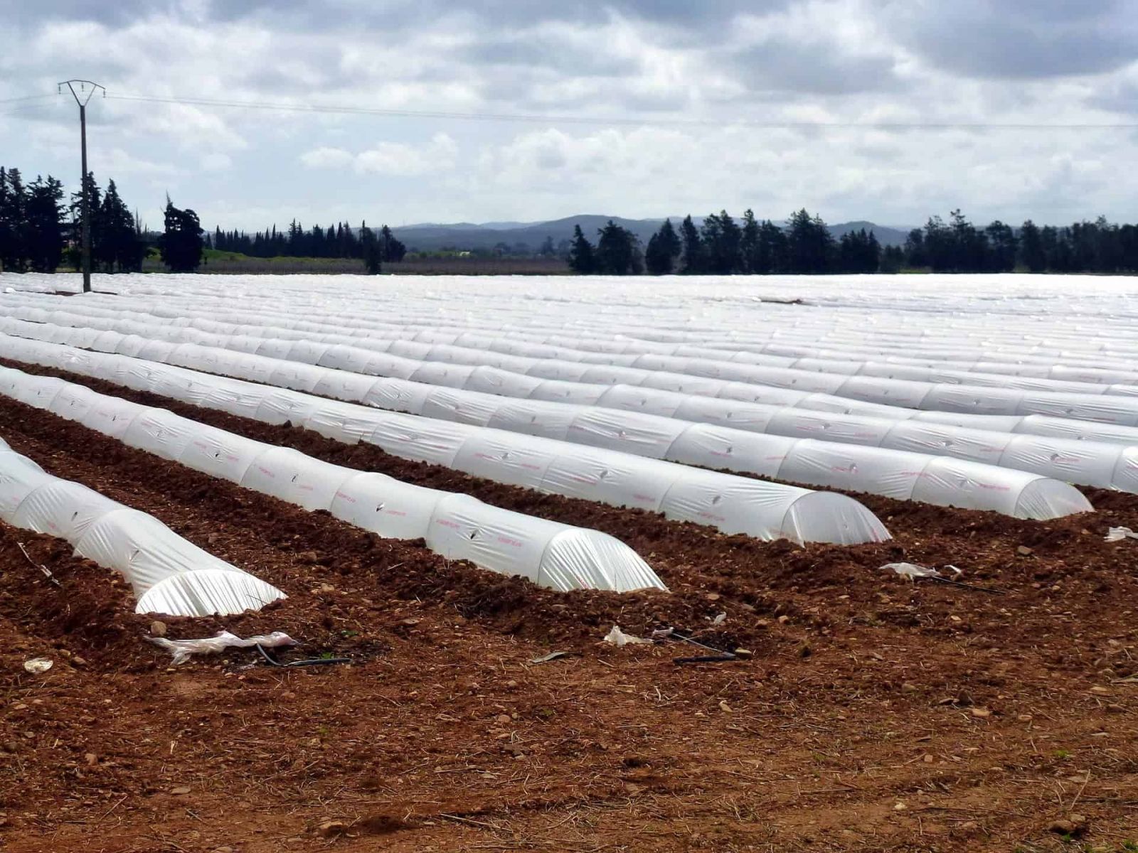Applications of UV additives in agricultural film production