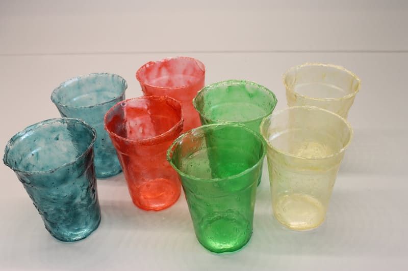 Bioplastic made from shrimp shells
