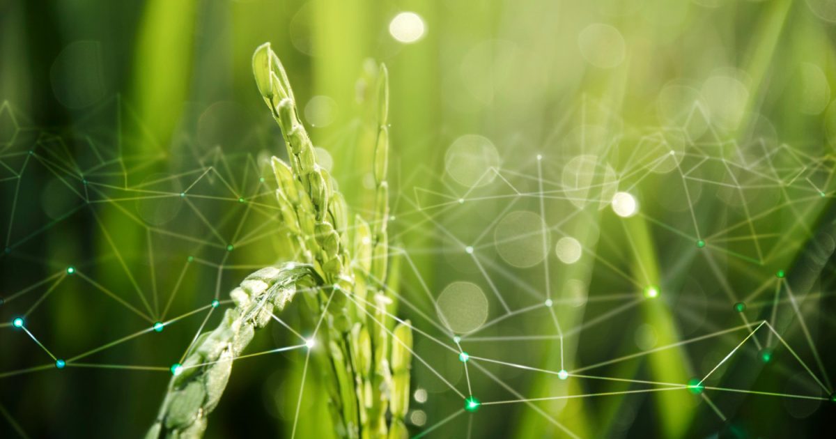 What are Bioplastics? A Sustainable Alternative to Traditional Plastics