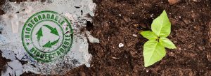 biodegradable plastic