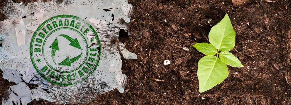 Biodegradable Plastics: What You Need to Know