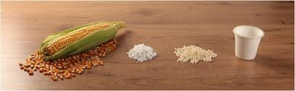 starch-based bioplastic